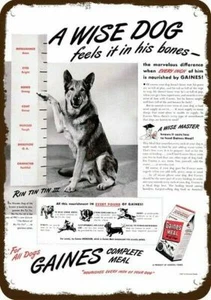 1947 RIN TIN TIN GERMAN SHEPHERD Dog Vintage-Look DECORATIVE REPLICA METAL SIGN - Picture 1 of 1
