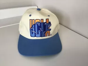 Vintage UCLA Big BRUIN NCAA New Era Snap Back Cap Rare and Cool - Picture 1 of 3