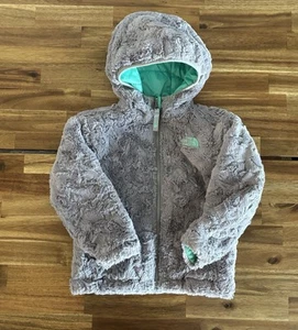 The North Face Gray Mint Sherpa Reversible Puffy Jacket Toddlers Size 3 Outdoor - Picture 1 of 16
