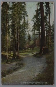 SCENE IN WOODLAND PARK, SEATTLE WA postcard A5 - Picture 1 of 2