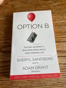 Option B: Facing Adversity, Building Resilience, and Finding Joy - Picture 1 of 4