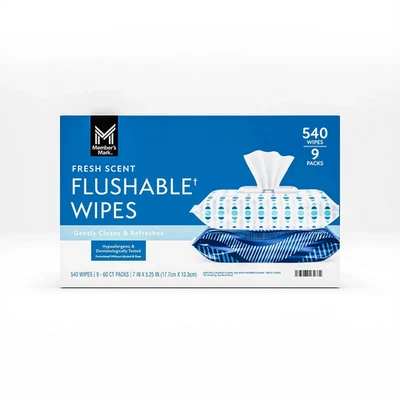 Member's Mark Flushable Wipes Fresh Scent 540 Count Soft & Gentle Pack - Image 1 of 4