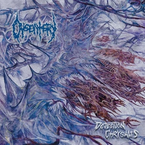 DYSENTERY "Dejection Chrysalis" death metal CD - Bild 1 von 1