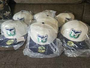 Hartford Whalers 10 Years 59FIFTY Fitted Hat Size 7 1/4 - Picture 1 of 7