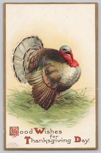 Postcard Good Wishes For Thanksgiving Day Turkey Walking Through Grass - Picture 1 of 2