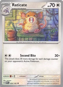 Raticate Uncommon Normal SV: Scarlet & Violet 151 020/165 NM - Picture 1 of 2