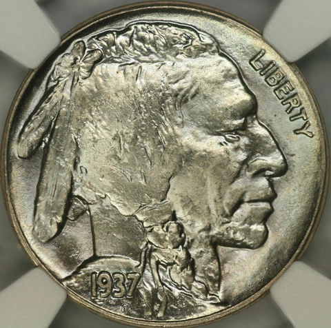 1937 Buffalo Nickel NGC MS67 Cover