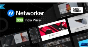 Networker v1.0.3 – Tech News WordPress Theme - Picture 1 of 1