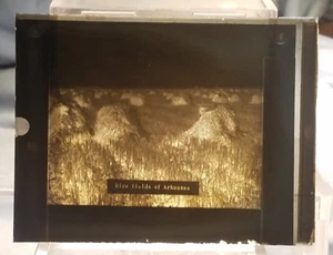 Vintage GLASS NEGATIVE SLIDE Rice Fields Of Arkansas Framing Agriculture - Picture 1 of 4