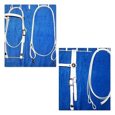 Riendas Bridle Headstall Loop Riendas Divididas BLANCO Beta Bio-thane Barrel Racing BS Foto 1 de 4