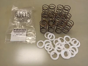 Kit Revisione Variatore di fase Fiat (barchetta) - Alfa - Lancia 71715450-001 - Foto 1 di 9