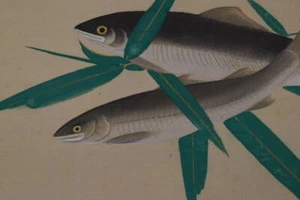 PINTURA JAPONESA PERGAMINO COLGANTE Bambú Hierba dulce Pez de río AYU 706q - Imagen 1 de 11