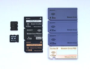 Lexar SanDisk Sony Memory Stick M2 MS PRO Duo 8 16 32 64 128 256 512 MB 1 2 GB - Bild 1 von 9