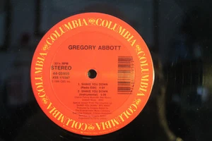 KEM ABBOTT---SHAKE YOU DOWN (12" singles) - Foto 1 di 2