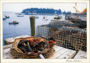 Five Islands,ME Lobsters Ready For Market Boats Sagadahoc County Maine Postcard - Picture 1 of 2