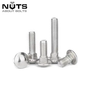 M6 M8 M10 Coppa Quadrata Carrozza Bullone Carrozza Vite A2 Acciaio Inox Bulloni Carrozza - Foto 1 di 3