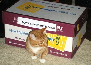 1972 PBA BOWLING PHOTOS Graded PSA-7 or HIGHER - U-PICK - $4.95 to $99.95