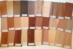 30 pieces Wood Veneer Identification Labeled Pack cricut name variety domestic