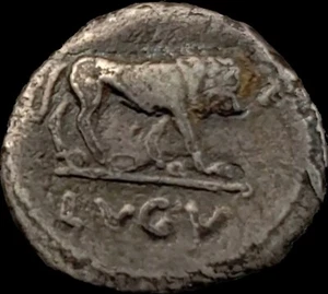 The Triumvirs. Marco Antonio. Fine estate-autunno 43 a.C. Quinarius argento - Foto 1 di 2