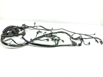 05-09 Harley Softail Heritage Classic FLSTCI Main Wiring Wire Harness Loom Foto 1 de 4