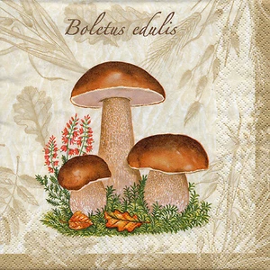 4 servilletas sueltas con motivo servilletas servilletas 33x33cm setas (847) - Imagen 1 de 1