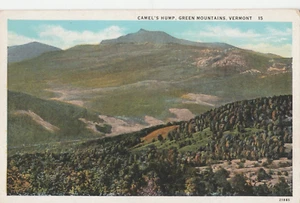 Camel's Hump, Green Mountains, Vermont. 1930's. - Picture 1 of 2