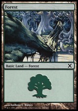 Forest (380) - Foil ~ Lightly Played 10th Edition Tenth MTG Magic UltimateMTG La