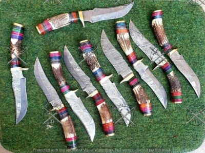 LOTE DE 10 CUCHILLOS DESOLLADORES DE ACERO DAMASCO HECHOS A MANO DE 10 PULGADAS CIERVO\ANTLER EE. UU. Impuesto pagado Foto 1 de 4