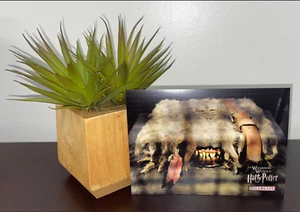 Universal Orlando Zauberwelt von Harry Potter Hogsmeade gestempelte Postkarte. - Bild 1 von 2