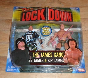 2006 NWA TNA Marvel James Gang Road Dogg Billy Gunn figuras de lucha libre firmadas WWE - Imagen 1 de 4
