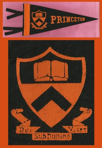 VINTAGE Princeton University Tigers Football Pennant! 1940’s WOW!! Cover