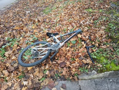 Müll - Bild 1 von 3