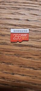 256GB Samsung EVO + Micro SD Card