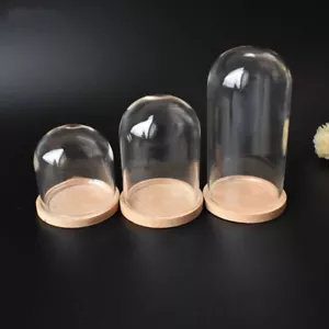 Dollhouse Miniature Glass Dome Display Bell Jar With Wood Base for Doll Storage - Picture 1 of 5