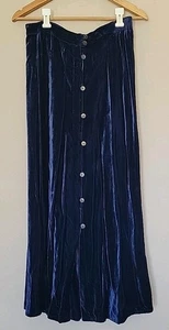 Vintage David Dart blau Samt Midirock Größe M Knopfleiste Whimsigoth Witchy LESEN - Bild 1 von 14