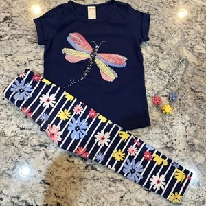 Gymboree Outlet Girls Size 5 Leggings Dragonfly Outfit With Necklace - Picture 1 of 10