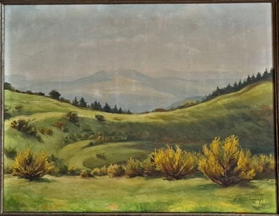 ÖL bild "Wachholderwiese in der Eifel", ca1920, Maler Eduard Kintrup, Düsseldorf - Bild 1 von 4