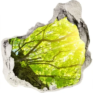 Deko Aufkleber Selbstklebender Wandbild Poster Kastanienbaum im Frühling - Bild 1 von 4