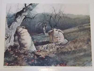 IMPRESSÃO DE COLÓTIPO VINTAGE "NICK AND JAMIE" ANDREW WYETH - Imagem 1 de 4