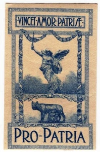 ER3529 - Pro Patria - Comitato di Roma e Brasile  - 15/18 ND - Picture 1 of 1