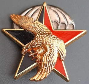 1990s CPES CPEOM ORIGINAL PARATROOPER DRAGON BADGE Service Action Badge - Picture 1 of 2