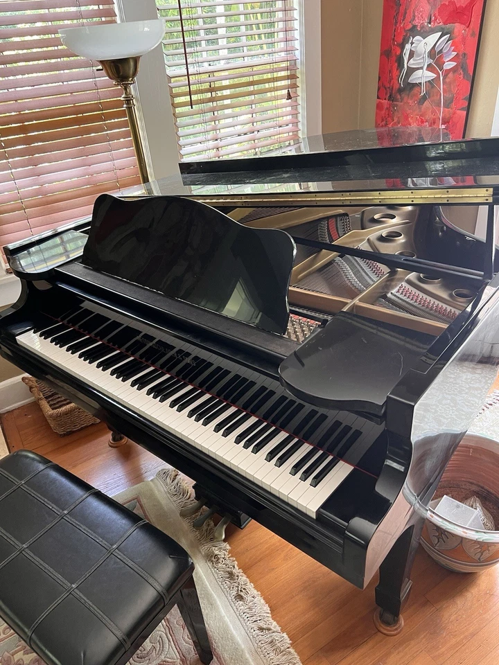 piano de cola Foto 1 de 4