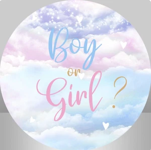 GENDER REVEAL BABY SHOWER BOY GIRL SKY HEARTS PARTY ROUND BANNER BACKDROP - Picture 1 of 2