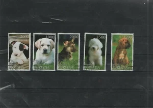 Hermoso juego para perros Buratia - Imagen 1 de 1