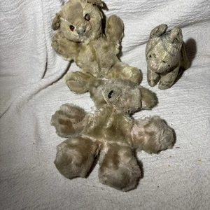 Peluche peluche gatto tigre e 2 orsi hanno bisogno di molto lavoro per riparazione (rigido?) - Foto 1 di 17