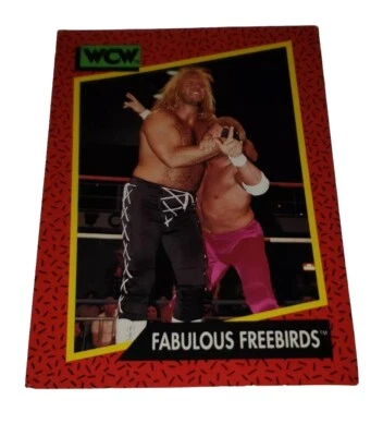 1991 WCW #123 Fabulous Freebirds Impel Wrestling Trading Card Hayes Garvin WWE - Image 1 of 4