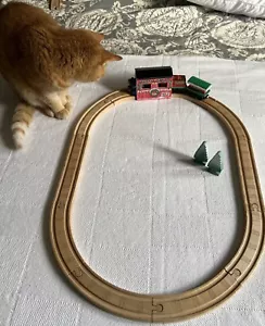 Thomas & Friends Tren de Madera BATERÍA OPERADO ALREDEDOR DEL ÁRBOL CONJUNTO Y TÚNEL DIFÍCIL DE ENCONTRAR - Imagen 1 de 13