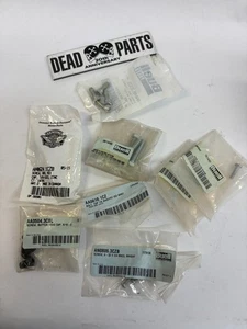 Tornillos de perno de hardware surtidos Buell AA0504.3CBL LooK - Imagen 1 de 1