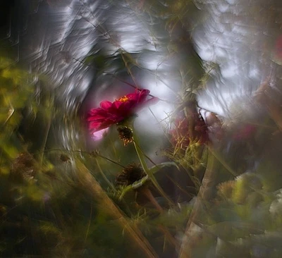 KMZ  Helios 44M f/2 Lens Petzval Modification Dreamy Swirly Bokeh SONY E adapter - Image 1 of 4