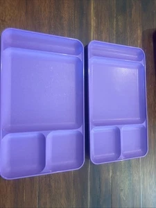 2 Vtg TUPPERWARE 15"x9" Divided Lunch Picnic Camping TV Tray purple - Picture 1 of 2